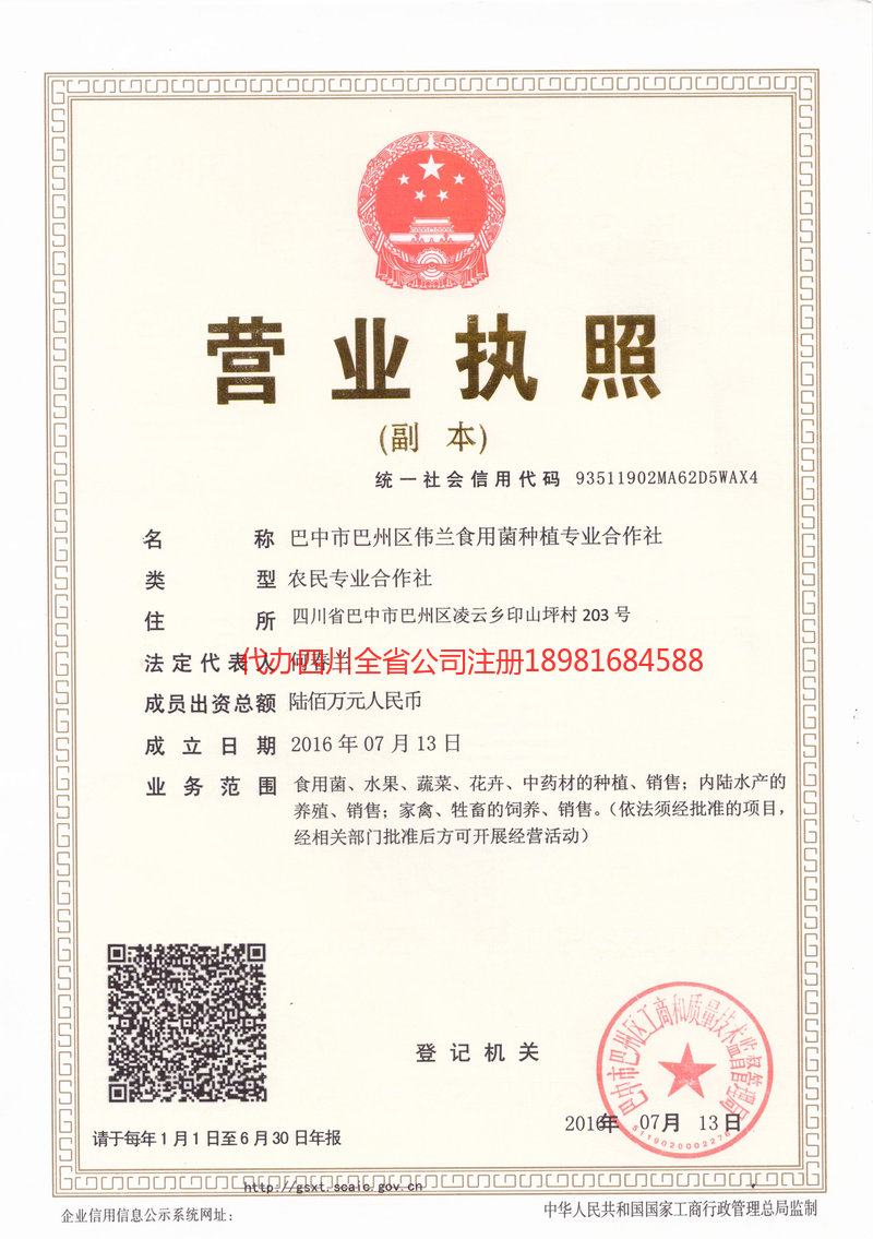 荆州荆州伟兰食用菌种植专业合作社